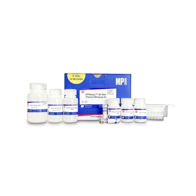 SPINeasy 96-Well   Plasmid Miniprep Kit
